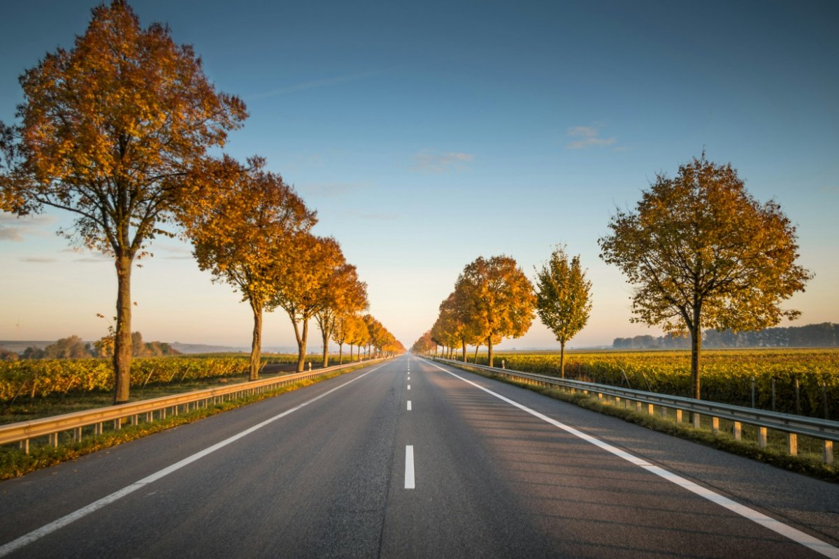 Interview with a new school van driver (no CDL)