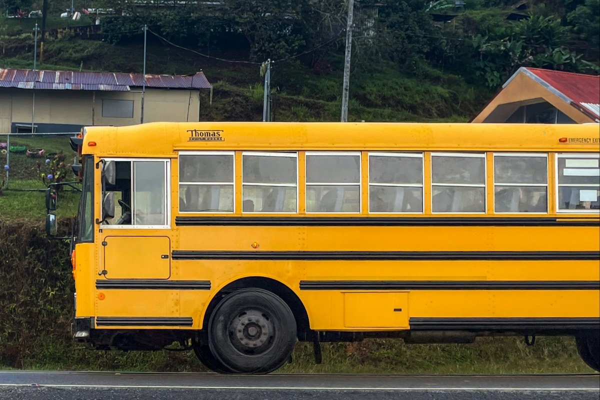 Un día en la vida de un conductor de autobús escolar: más que sólo conducir